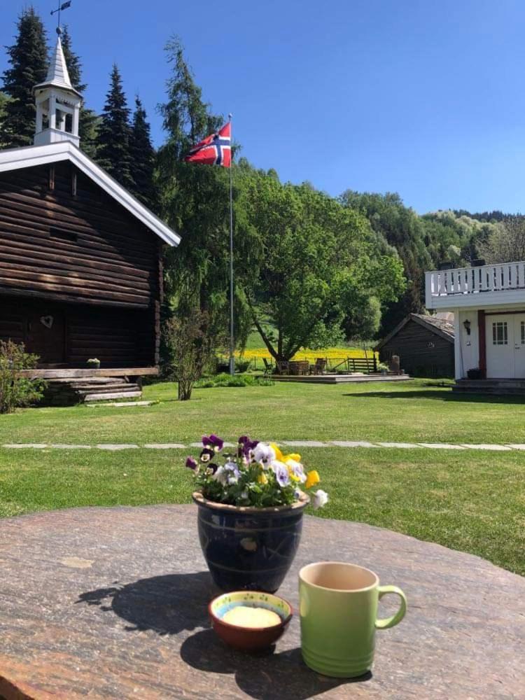 Skjeggestad Gjestehus Ringebu Extérieur photo